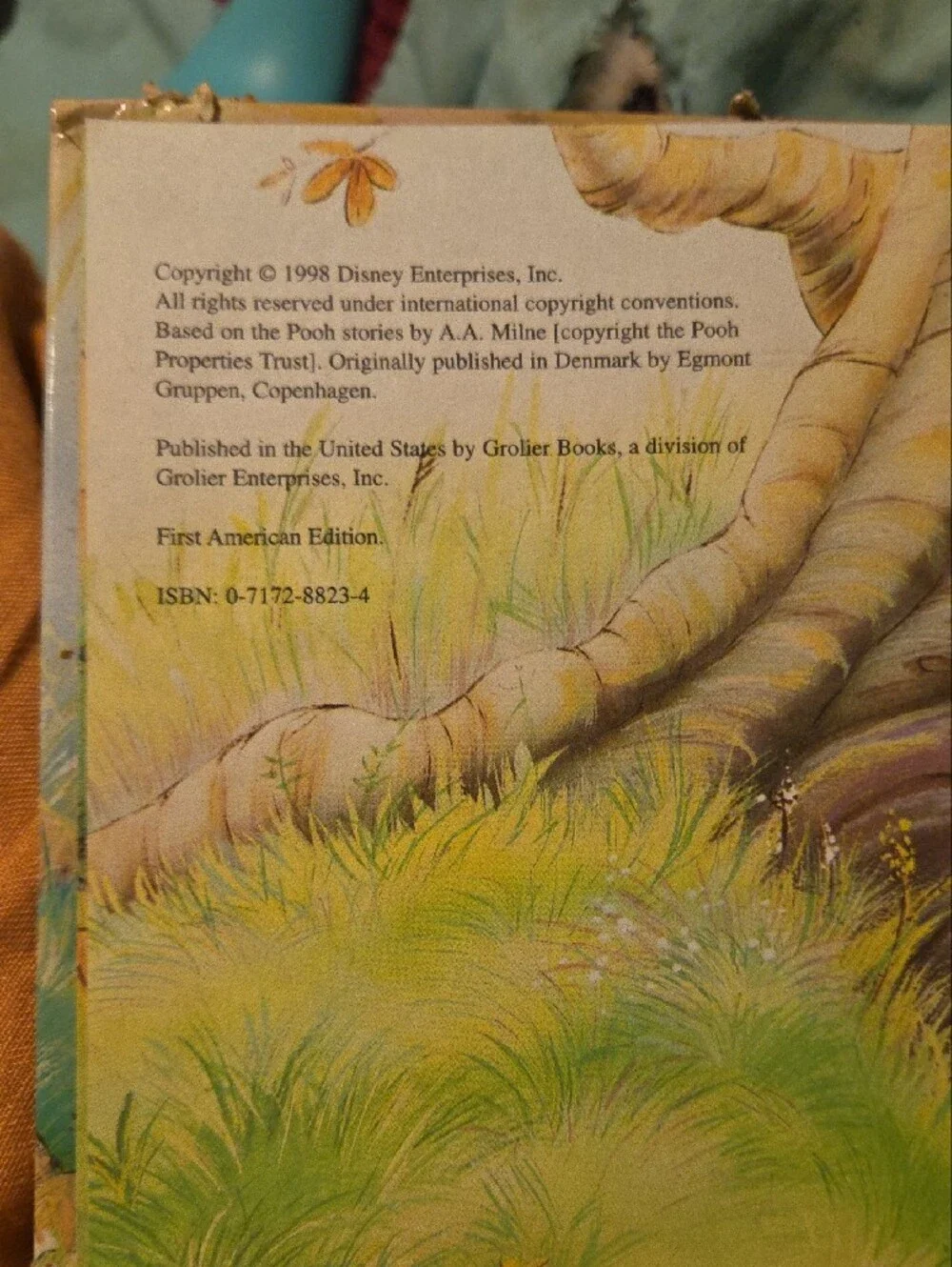 Disney Winnie the Pooh 